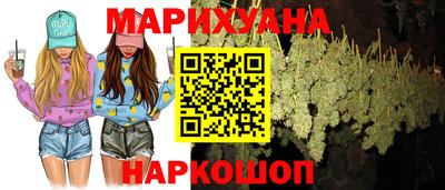 гашик Ливны