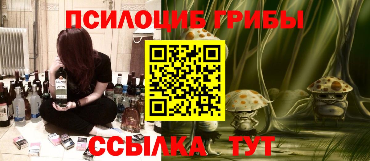 Галлюциногенные грибы Cubensis Домодедово