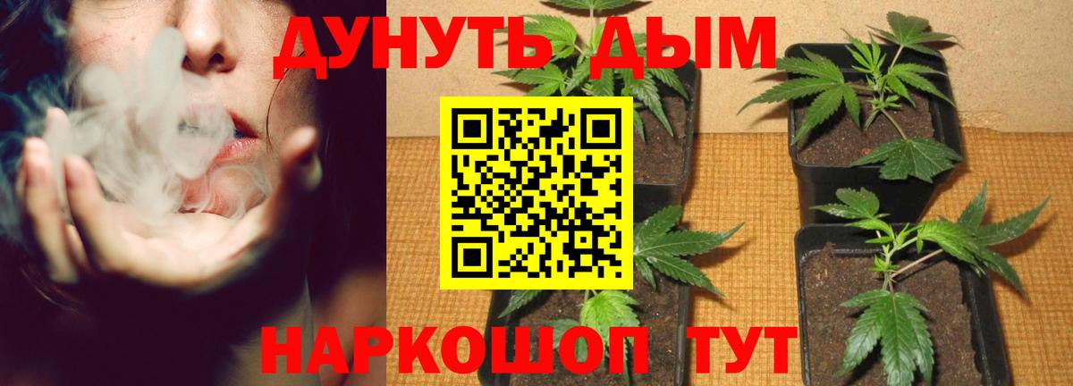 Бошки марихуана THC 21% Домодедово